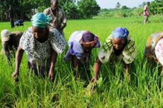 Côte d'Ivoire : Un projet de la BAD primé par le Trésor américain pour son impact sur le développement